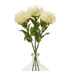 Cream Protea Lorea Stem – alternate view 3