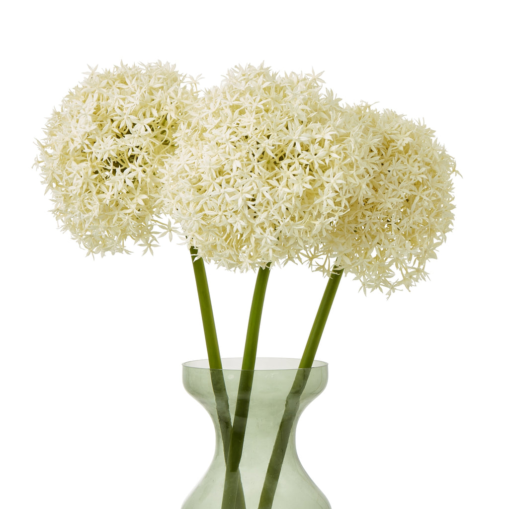 Cream Giant Allium Stem – alternate view 3