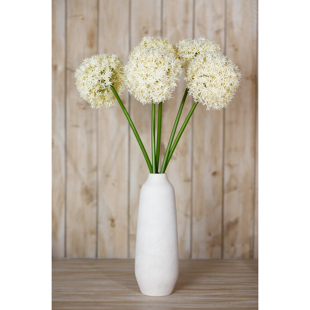 Cream Giant Allium Stem – alternate view 4