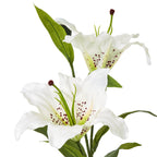 White Madonna Lily Spray – alternate view 2