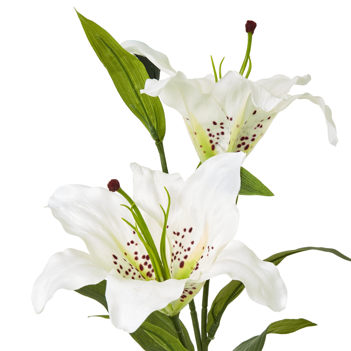 White Madonna Lily Spray – alternate view 2