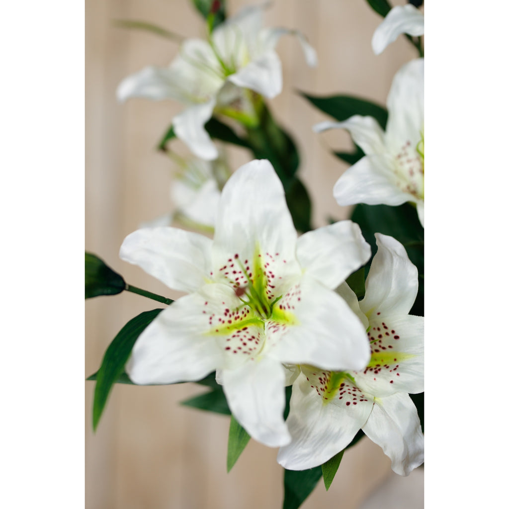 White Madonna Lily Spray – alternate view 5