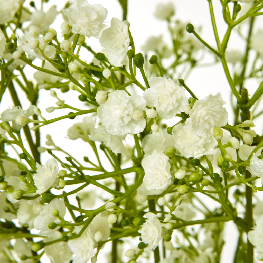 Cream Gypsophila Spray – alternate view 2
