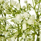 Cream Gypsophila Spray – alternate view 2