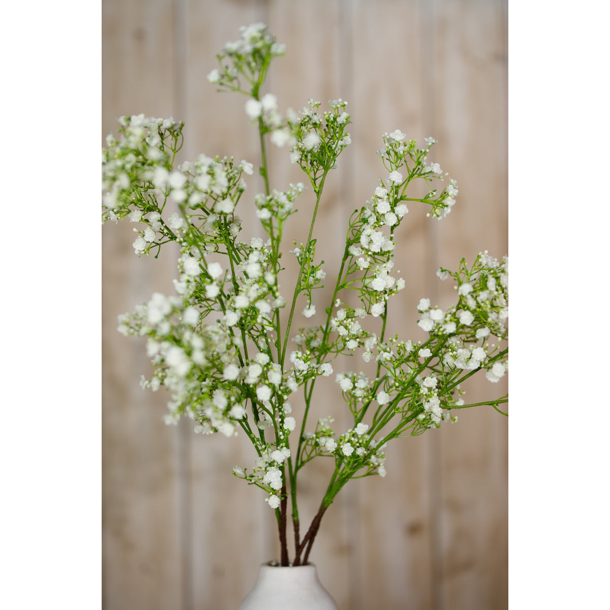 Cream Gypsophila Spray – alternate view 5
