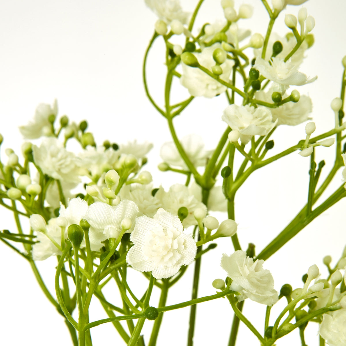 Cream Gypsophila Stem – alternate view 2