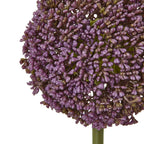 Purple Allium Stem – alternate view 2