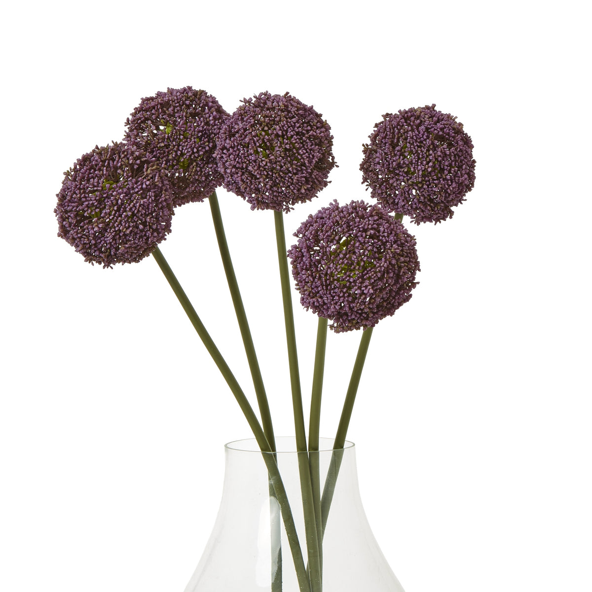Purple Allium Stem – alternate view 3