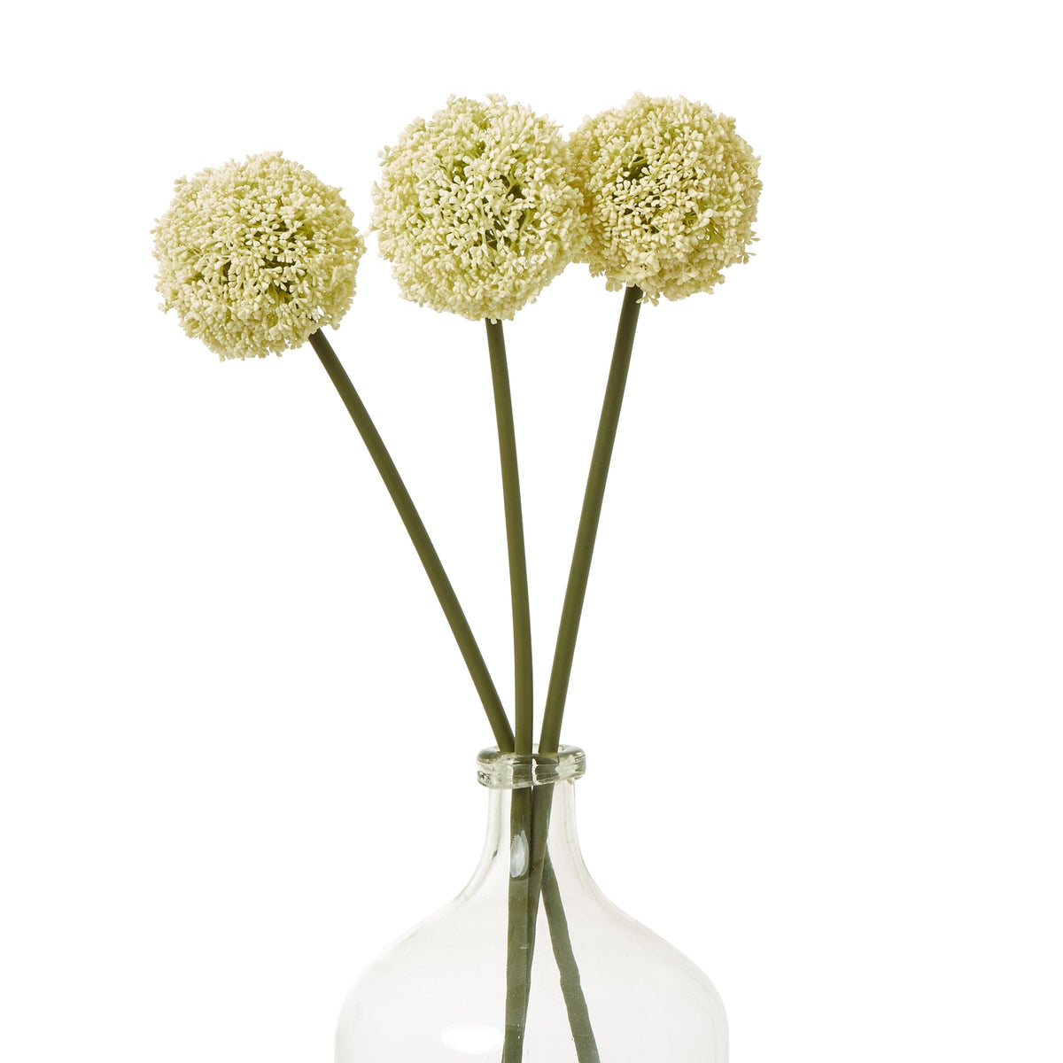 Cream Allium Stem – alternate view 3