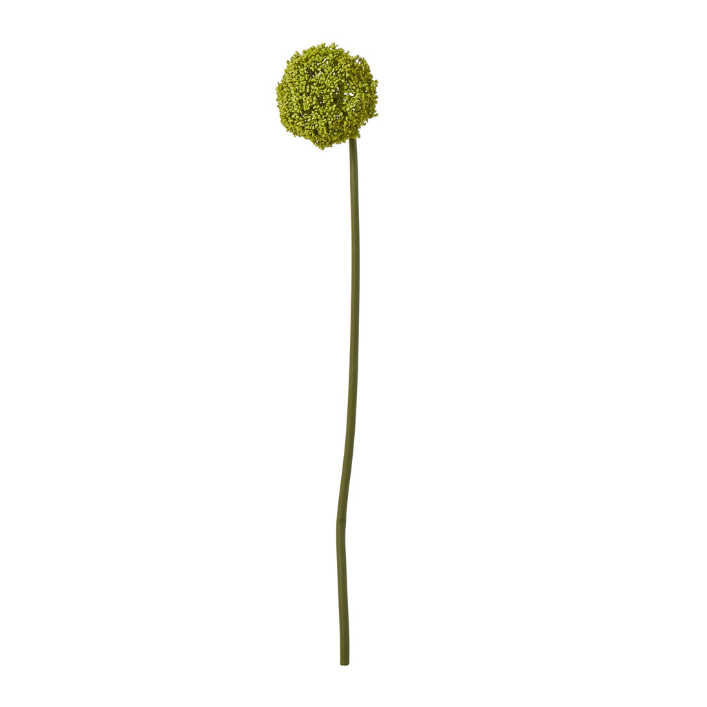 Green Allium Stem – alternate view 3