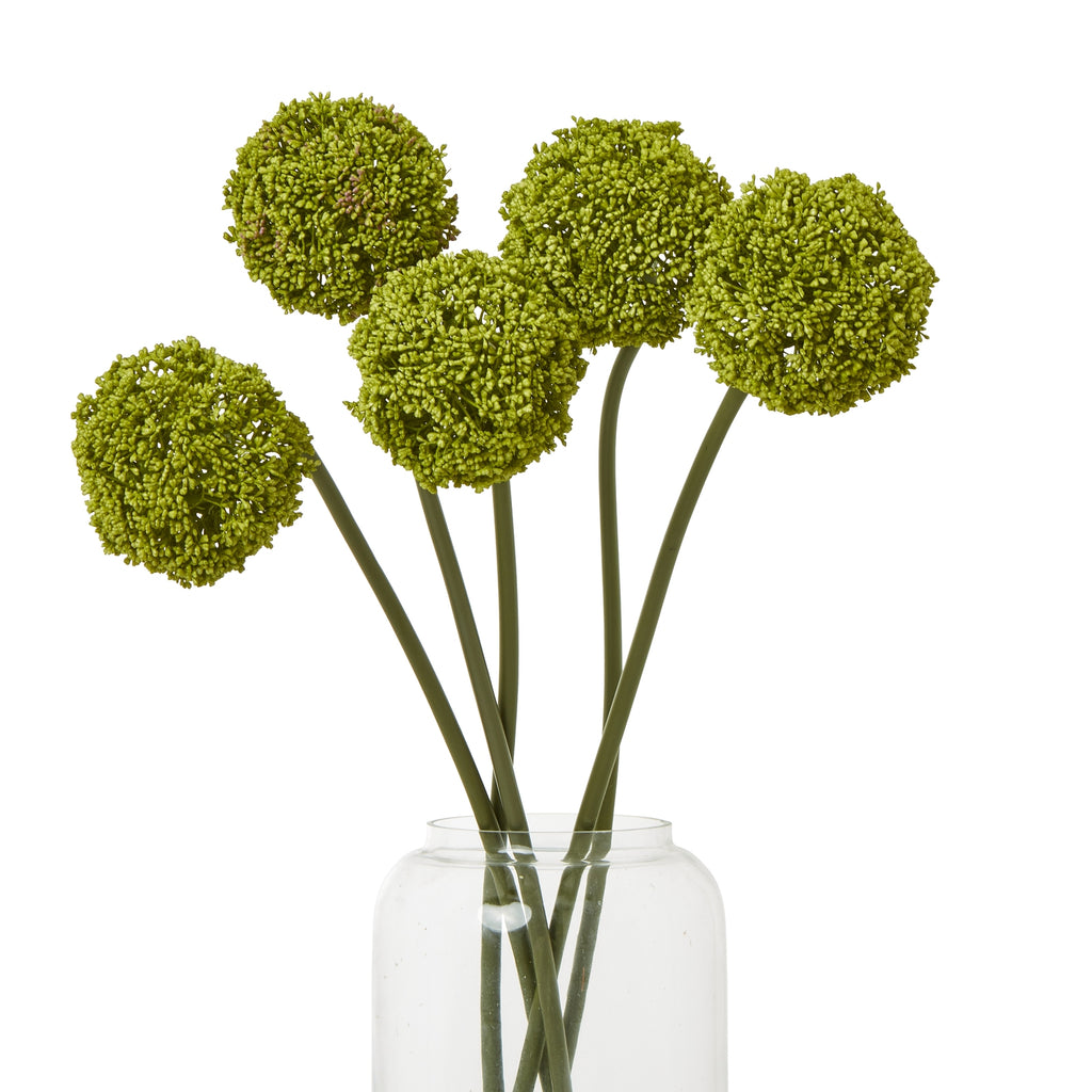 Green Allium Stem – alternate view 5