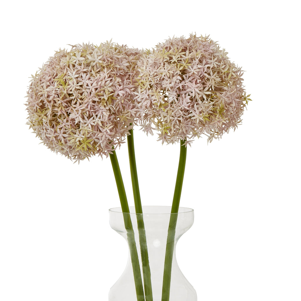 Lilac Giant Allium Stem – alternate view 3