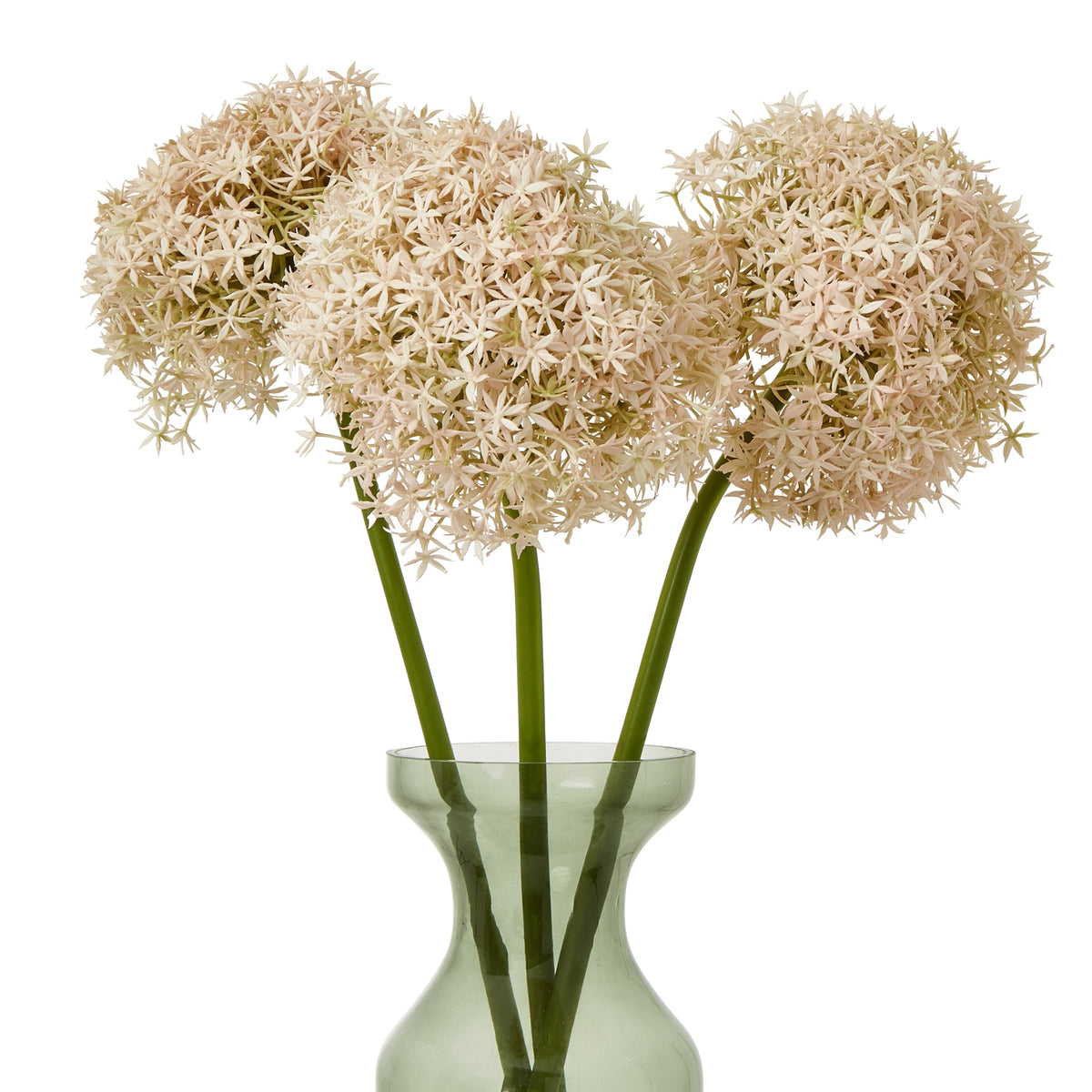Pink Giant Allium Stem – alternate view 3
