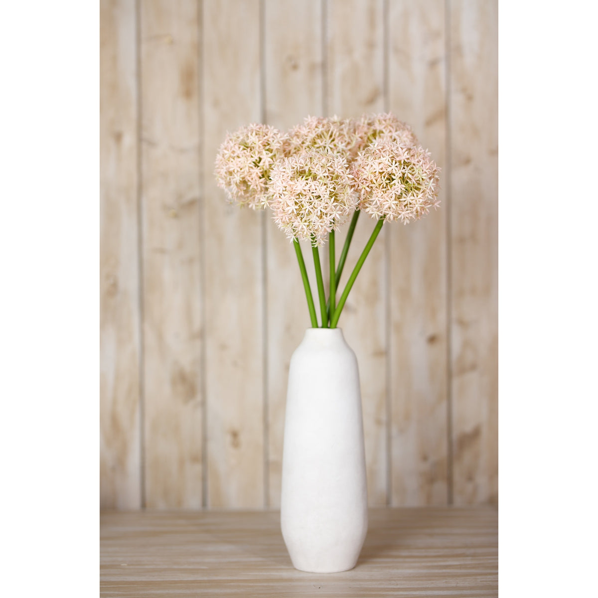 Pink Giant Allium Stem – alternate view 4