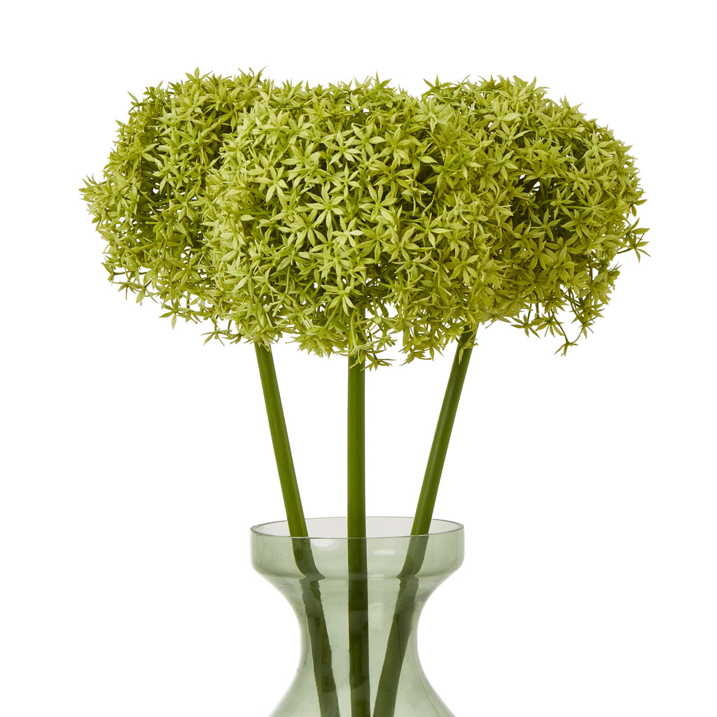 Green Giant Allium Stem – alternate view 3