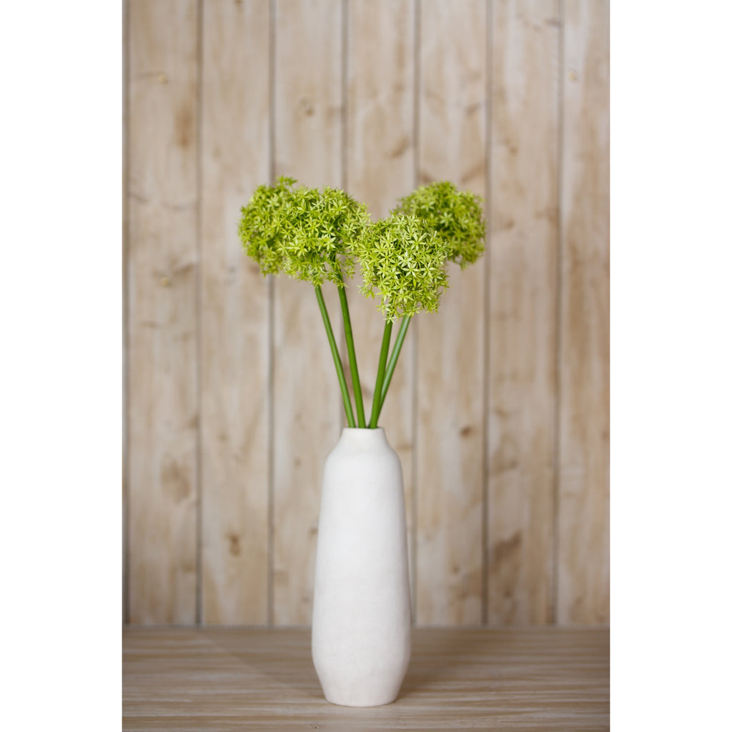 Green Giant Allium Stem – alternate view 4