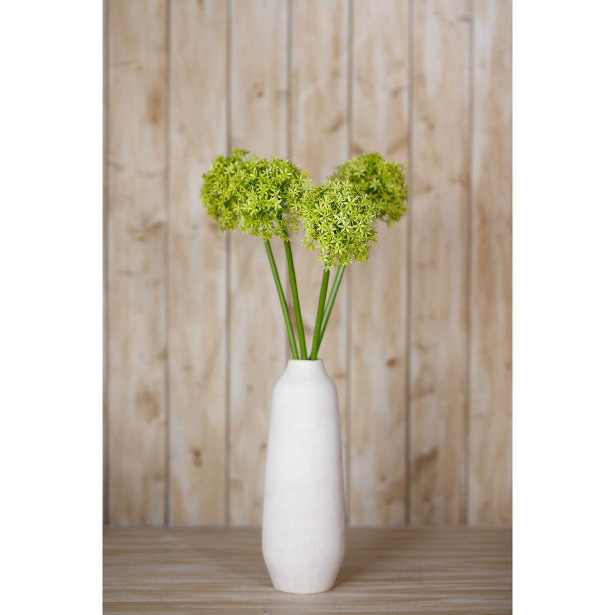 Green Giant Allium Stem – alternate view 4