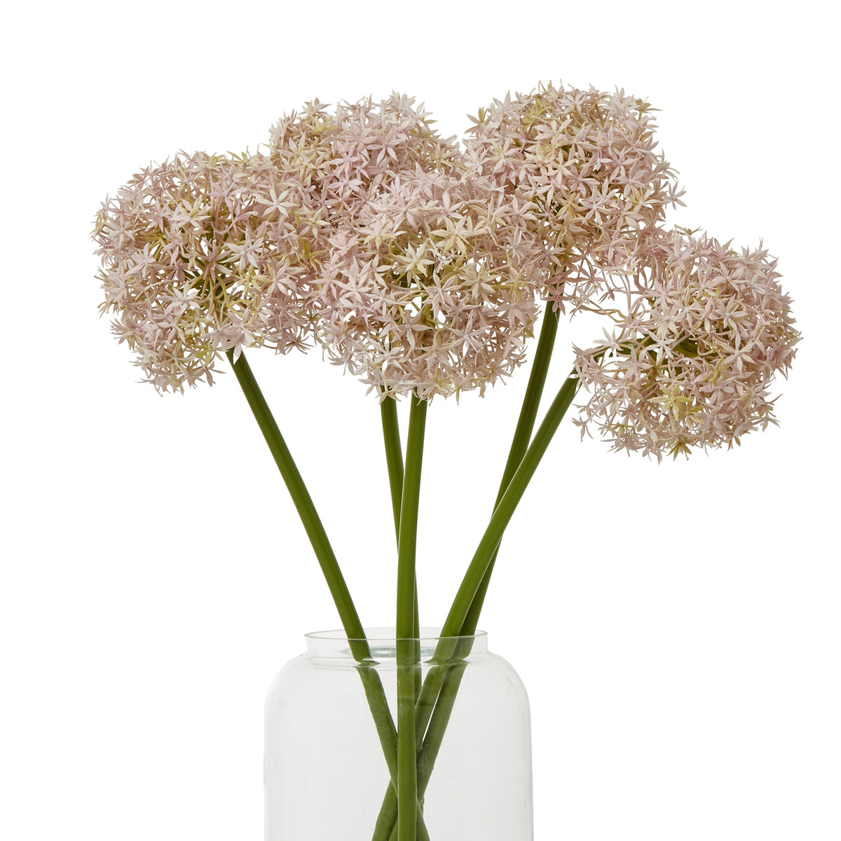 Lilac Medium Allium Stem – alternate view 3