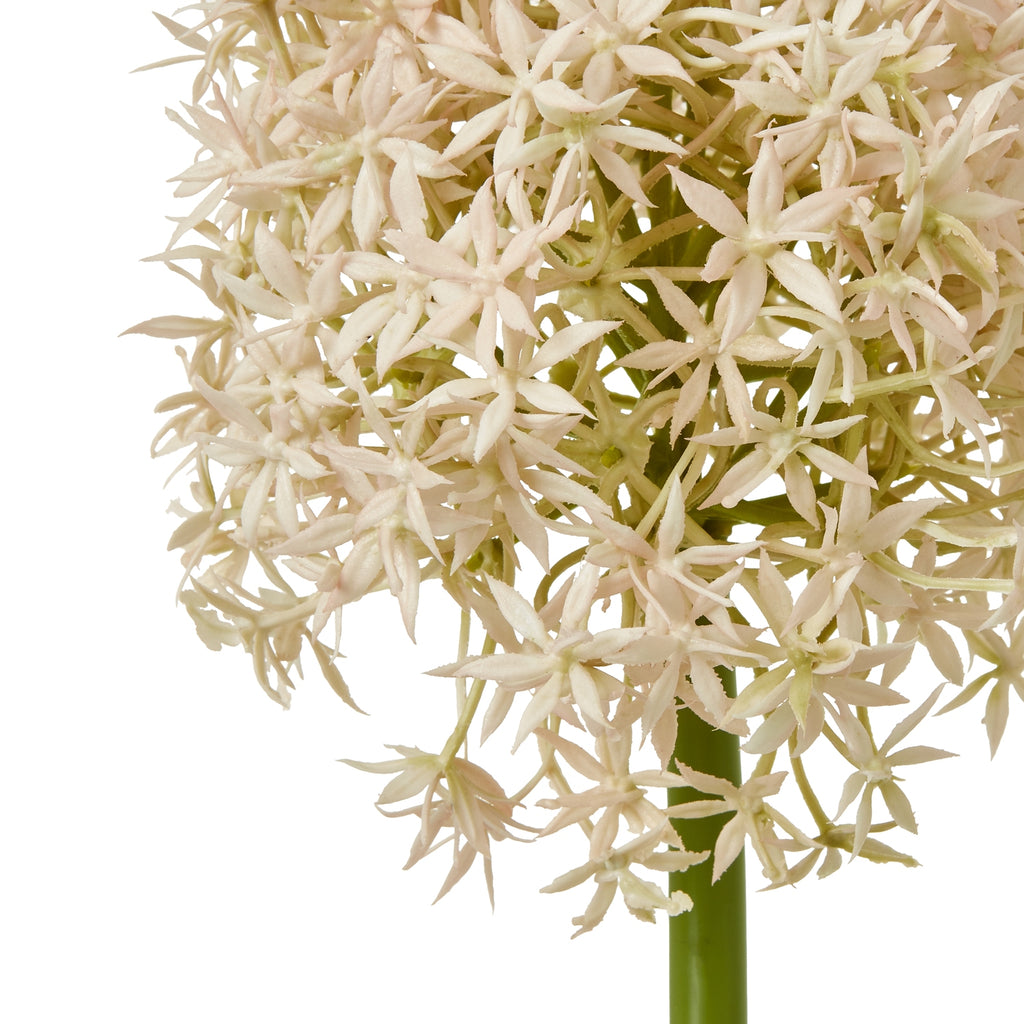 Pink Medium Allium Stem – alternate view 2