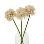 Pink Medium Allium Stem – alternate view 3