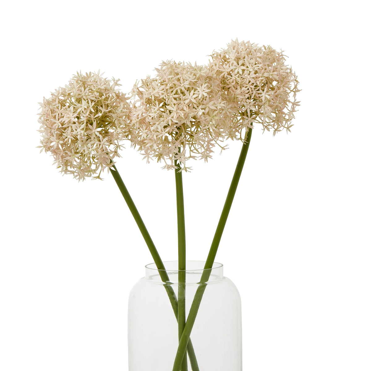 Pink Medium Allium Stem – alternate view 3