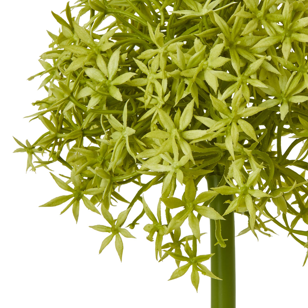 Green Medium Allium Stem – alternate view 2