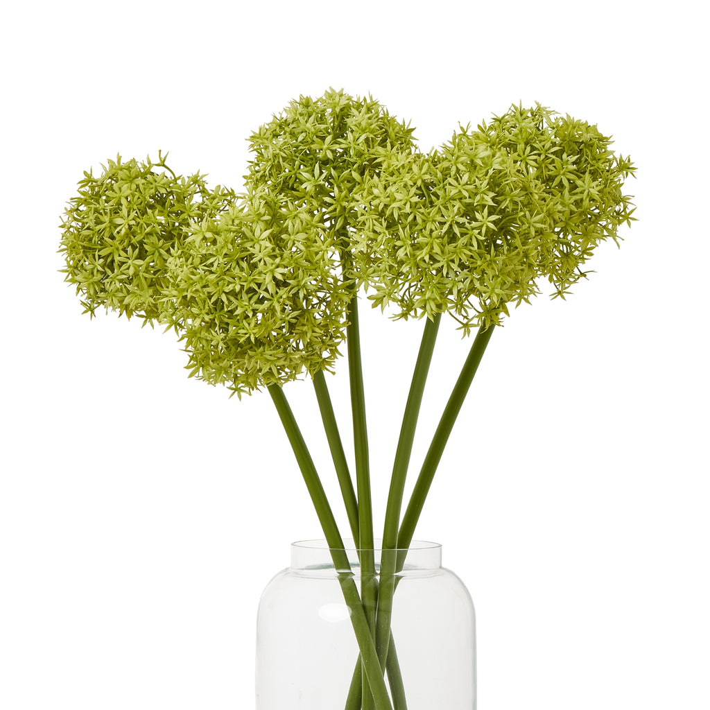Green Medium Allium Stem – alternate view 3