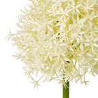 Cream Medium Allium Stem – alternate view 2
