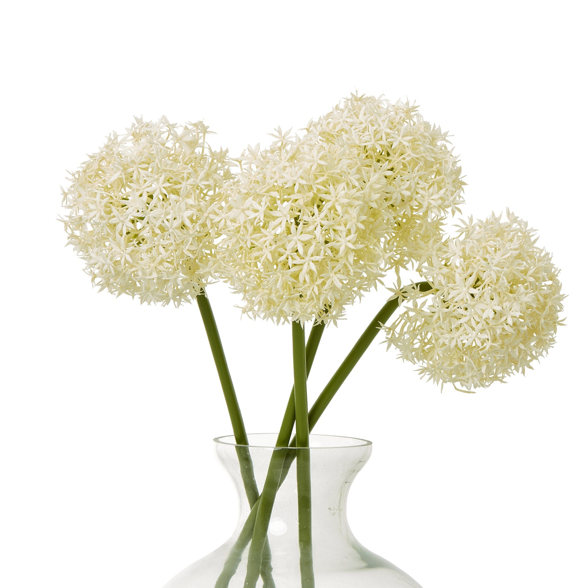 Cream Medium Allium Stem – alternate view 3