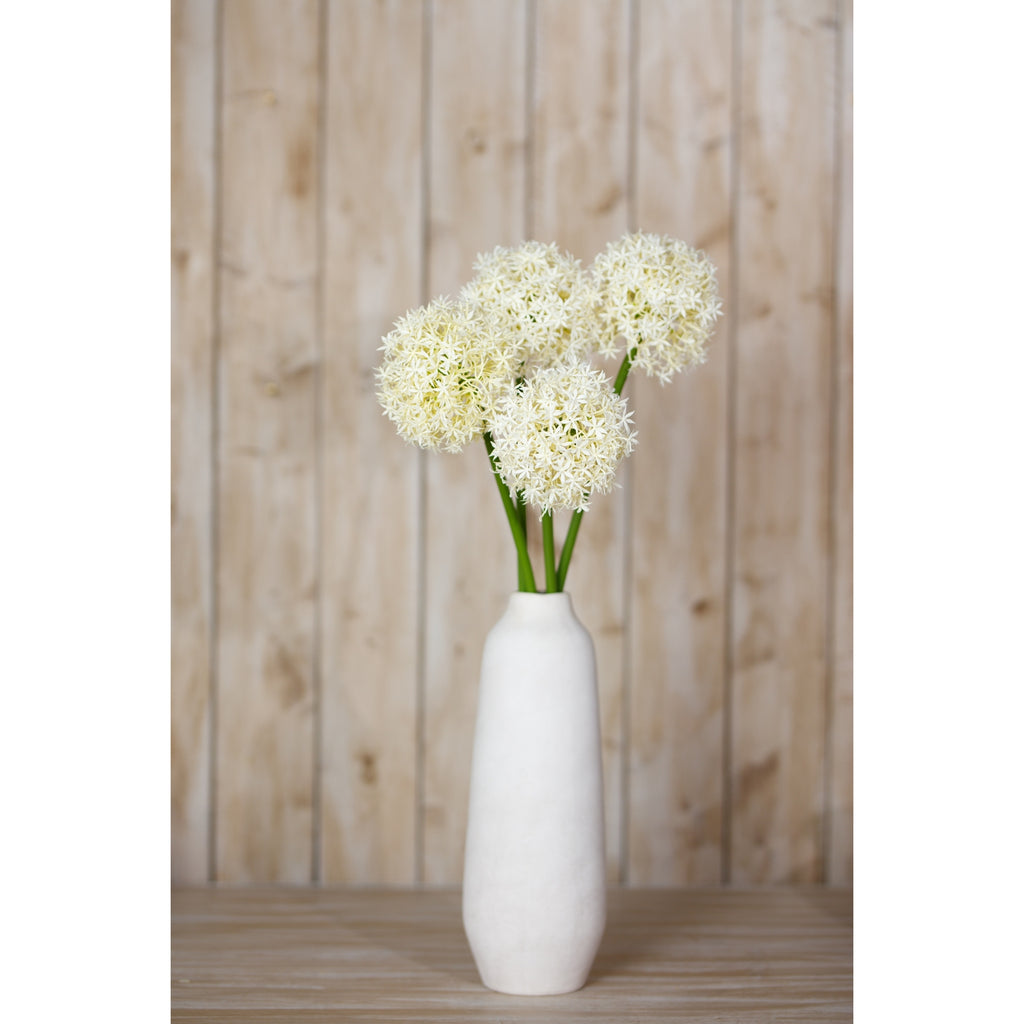 Cream Medium Allium Stem – alternate view 4