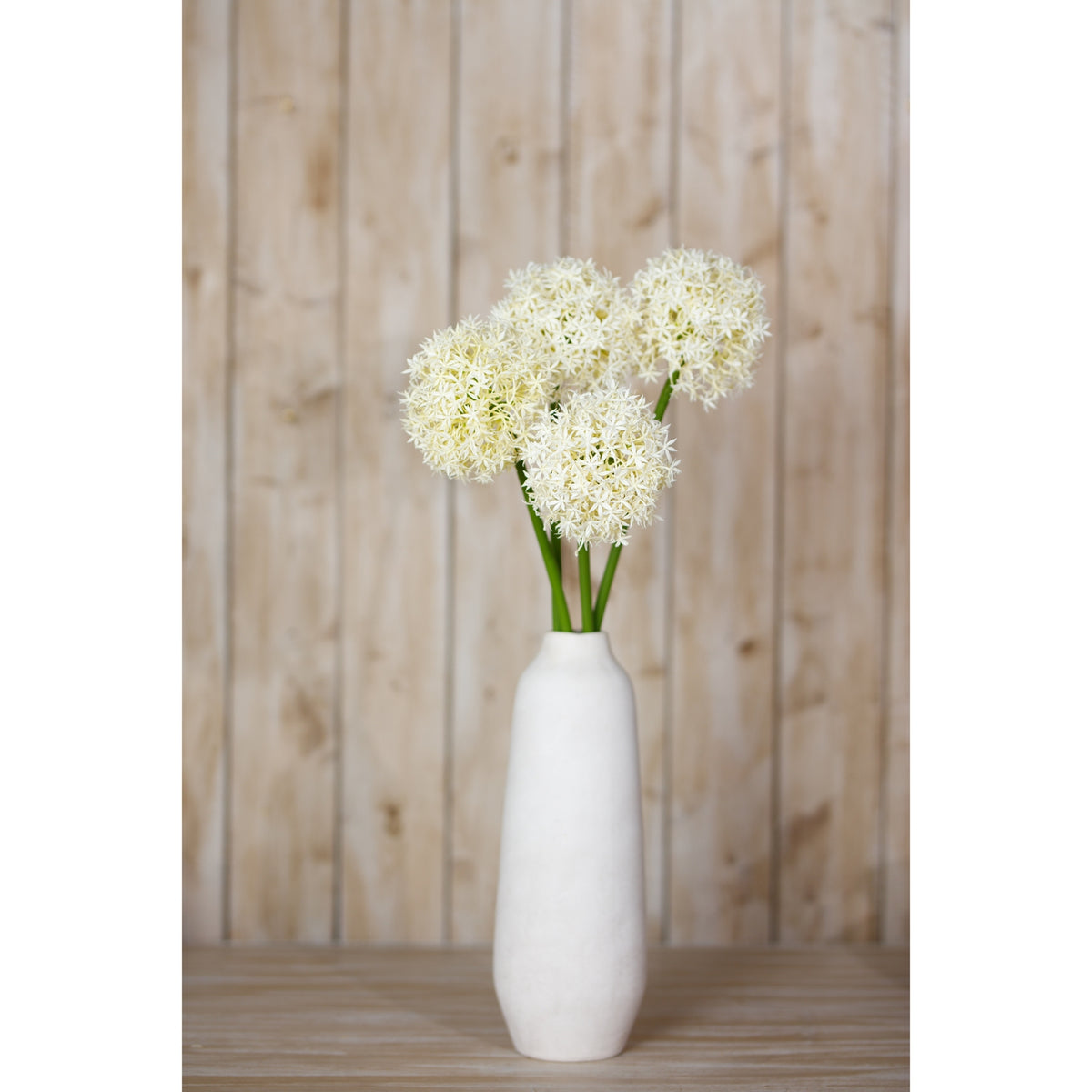 Cream Medium Allium Stem – alternate view 4