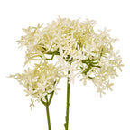 Cream Crown Hydrangea Stem – alternate view 2