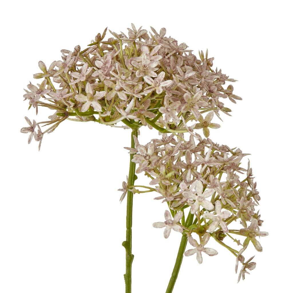 Lilac Crown Hydrangea Stem – alternate view 2