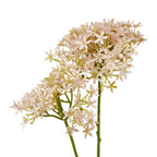 Pink Crown Hydrangea Stem – alternate view 2