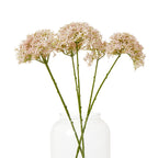 Pink Crown Hydrangea Stem – alternate view 3
