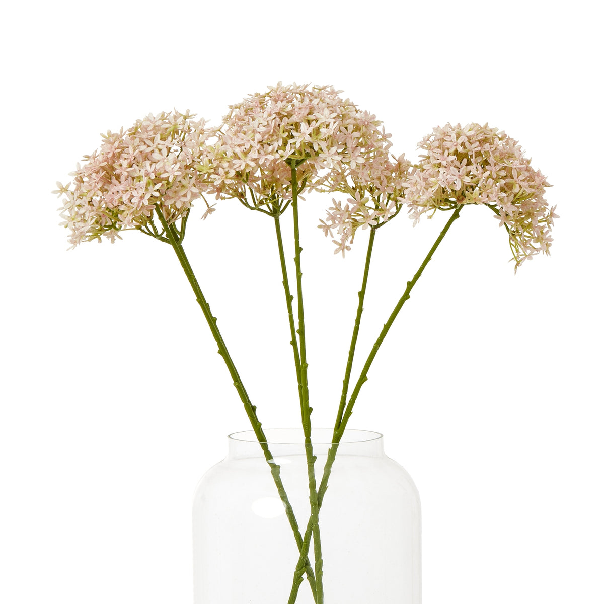 Pink Crown Hydrangea Stem – alternate view 3