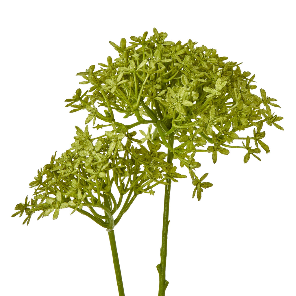 Green Crown Hydrangea Stem – alternate view 2