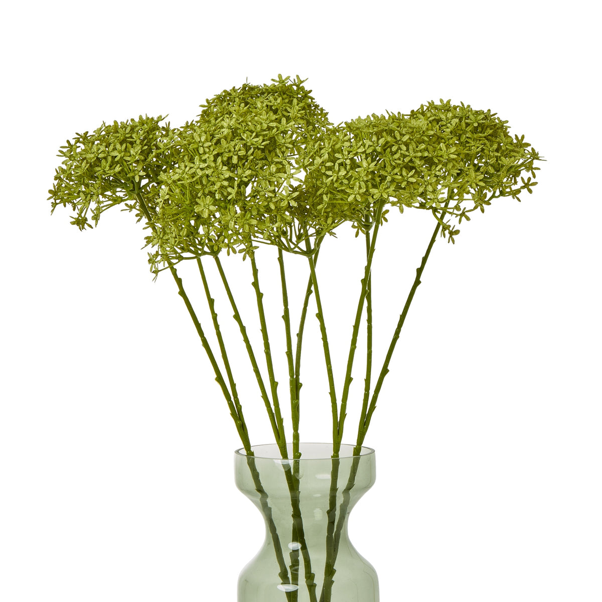 Green Crown Hydrangea Stem – alternate view 3