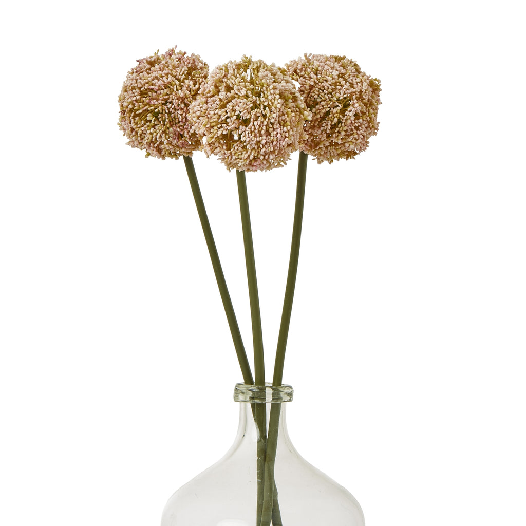 Pink Allium Stem – alternate view 3