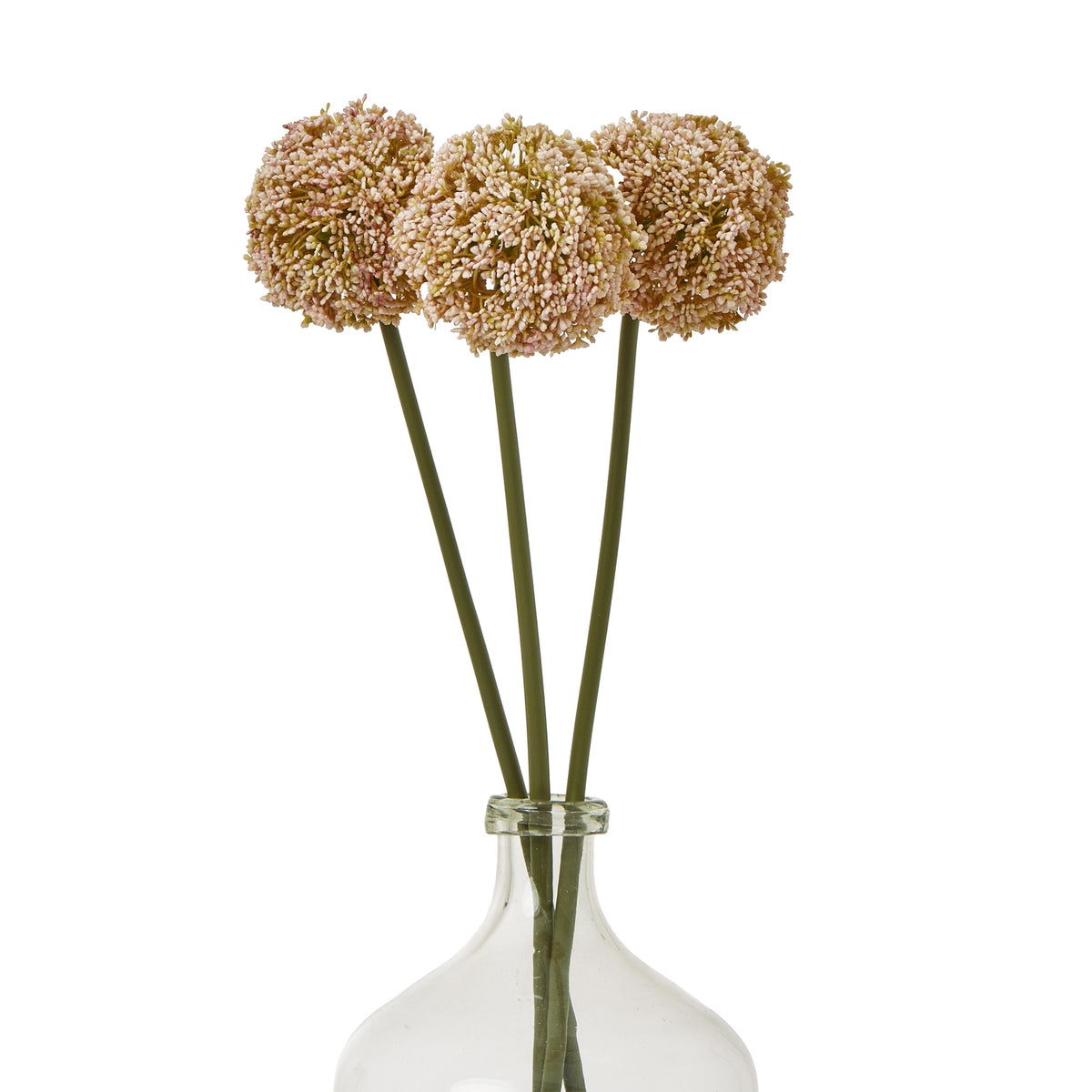 Pink Allium Stem – alternate view 3