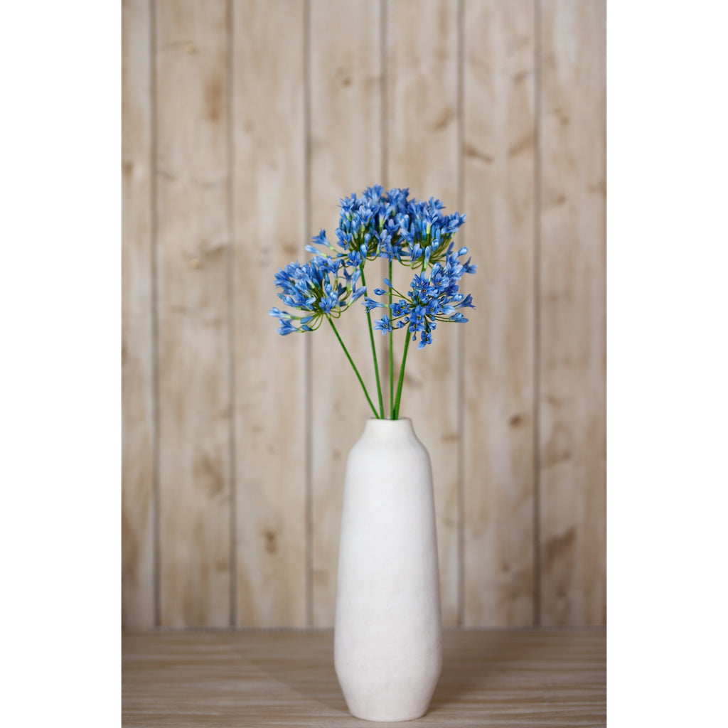 Blue Agapanthus Stem – alternate view 4