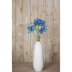 Blue Agapanthus Stem – alternate view 4