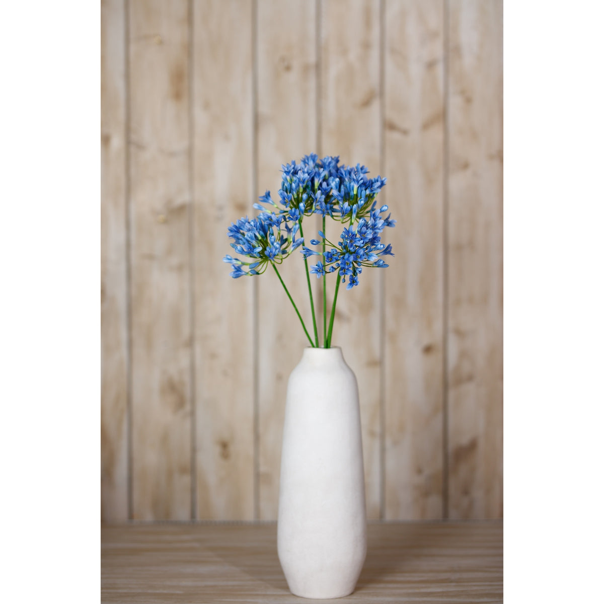 Blue Agapanthus Stem – alternate view 4