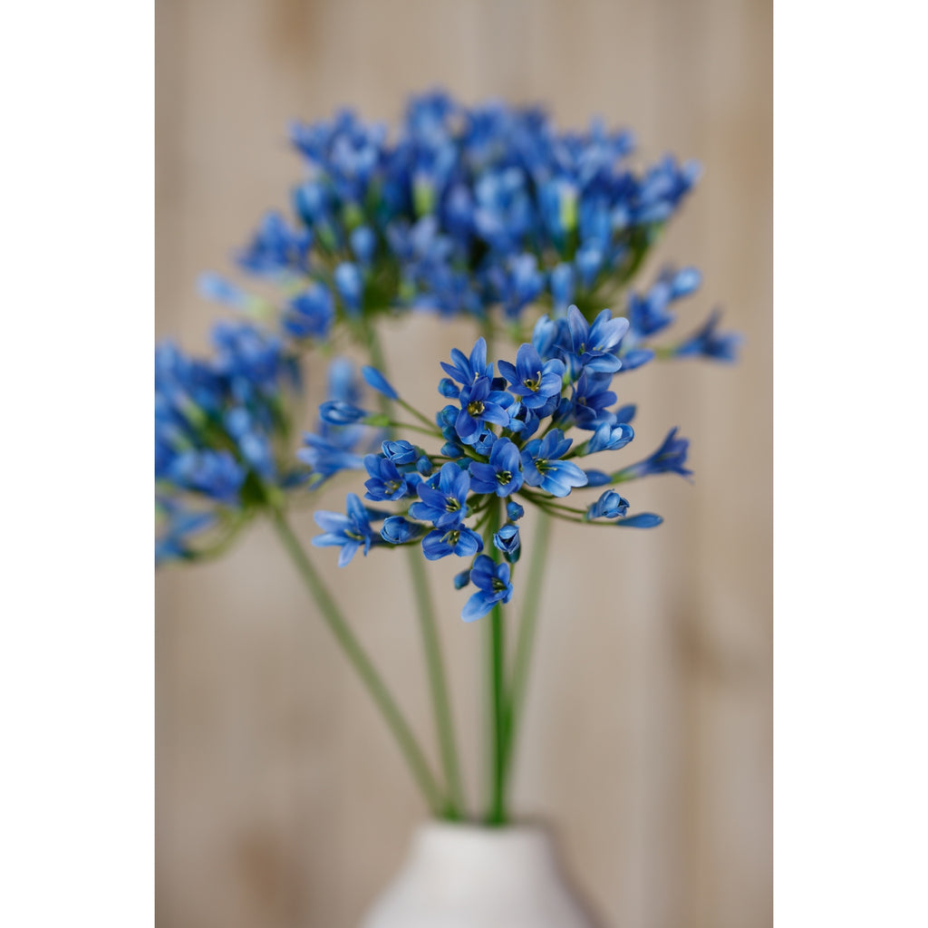 Blue Agapanthus Stem – alternate view 5