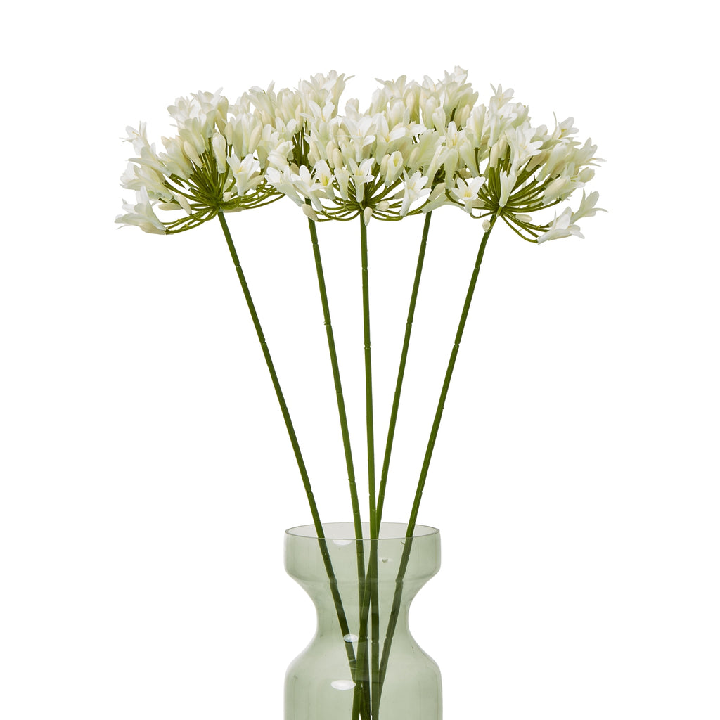 Cream Agapanthus Spray – alternate view 3