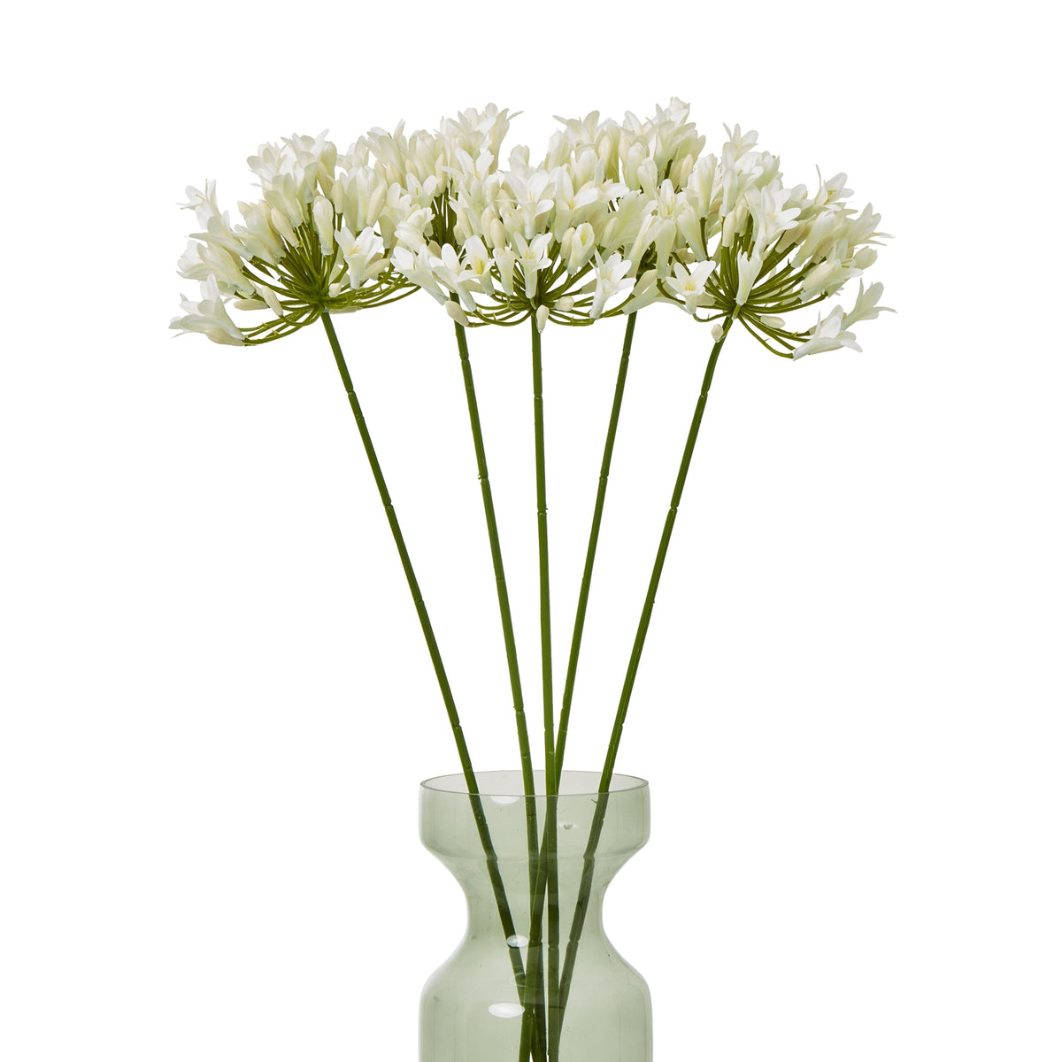 Cream Agapanthus Spray – alternate view 3