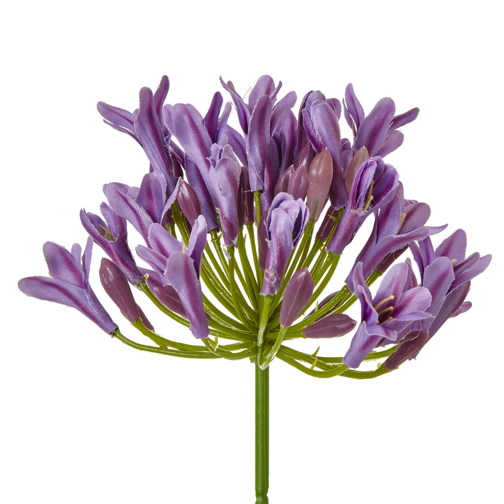 Lilac Agapanthus Spray – alternate view 2