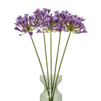 Lilac Agapanthus Spray – alternate view 3