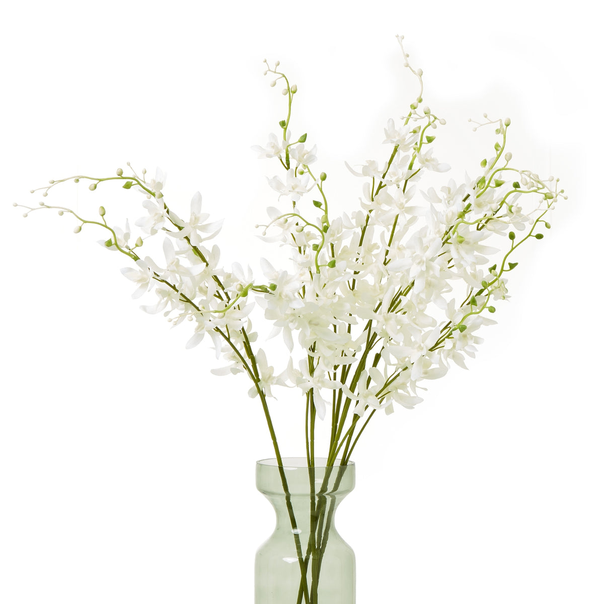 White Cymbidium Spray – alternate view 3