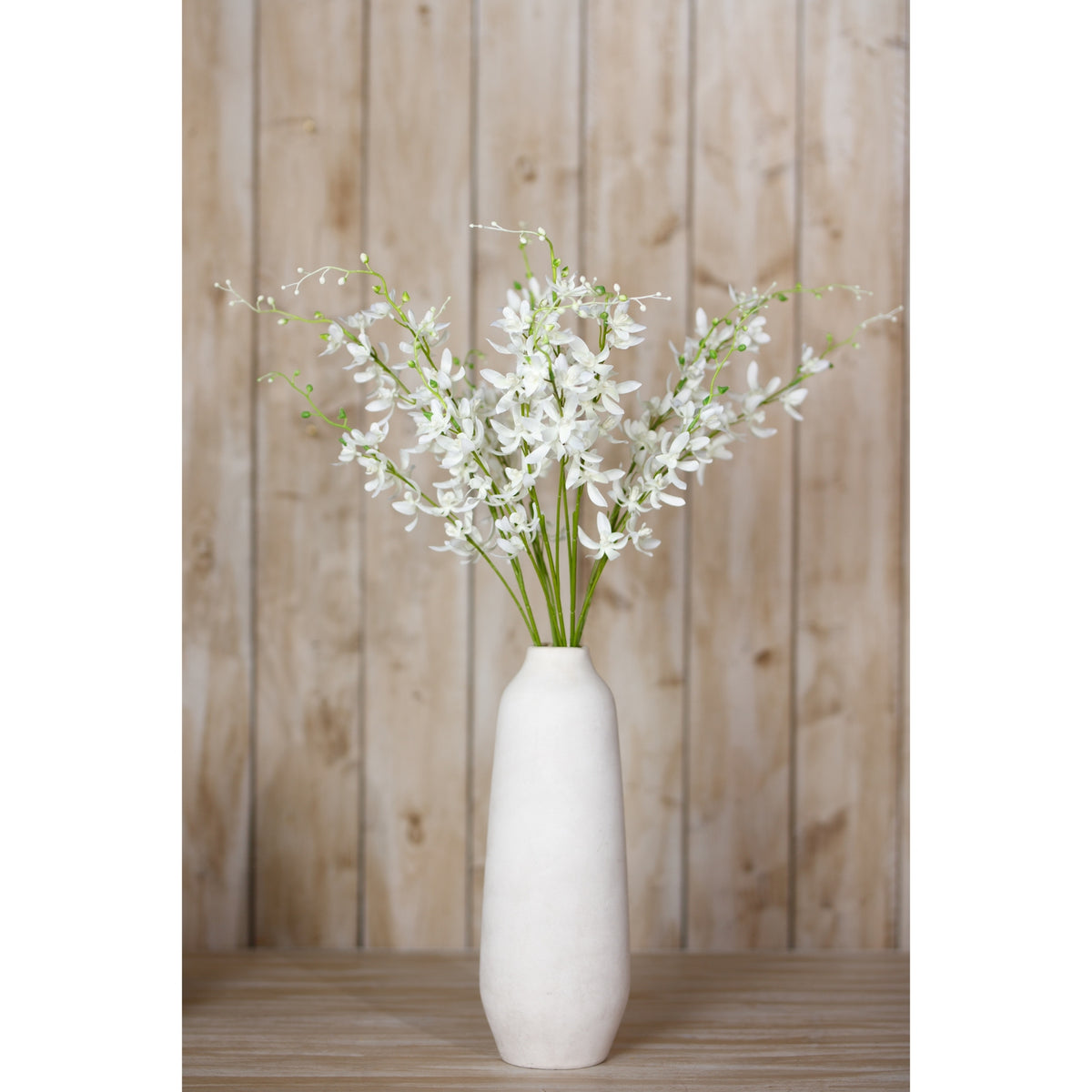 White Cymbidium Spray – alternate view 4